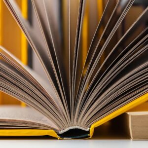 Book Formatter/Type-setter